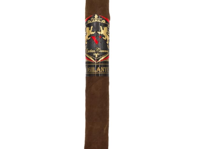 Esteban Carreras Vigilante